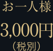 お一人様 3,000円(税別)